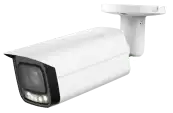 Black Cats AI CCTV